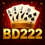 BD222 app icon