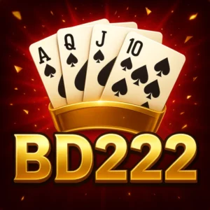 BD222 logo BD222 logo