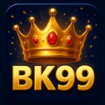 BK99 app icon