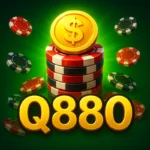 Q880 app icon